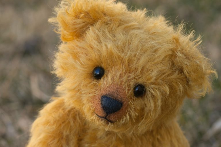 Teddy Bear Names: 191 Cute and Creative Names For Your Child’s Stuffed Animal